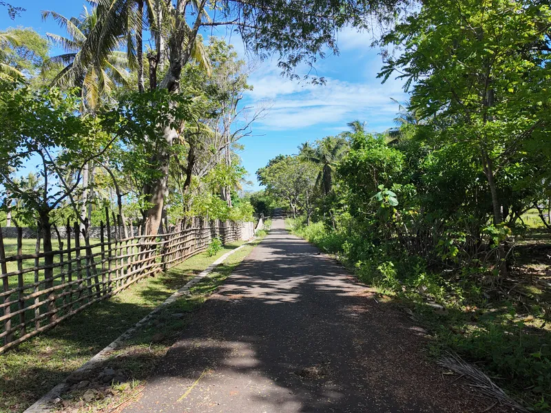 Coco Heights - Photo 11