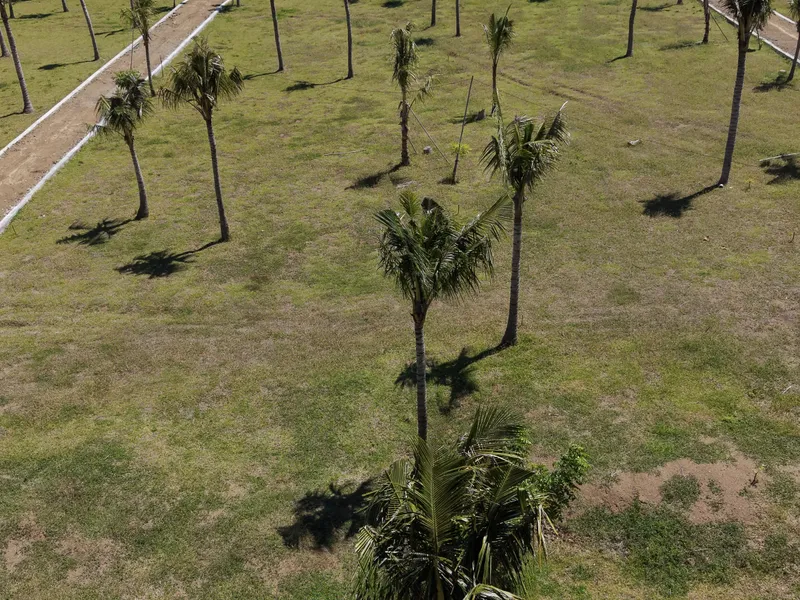 Coconut Grove - Photo 11