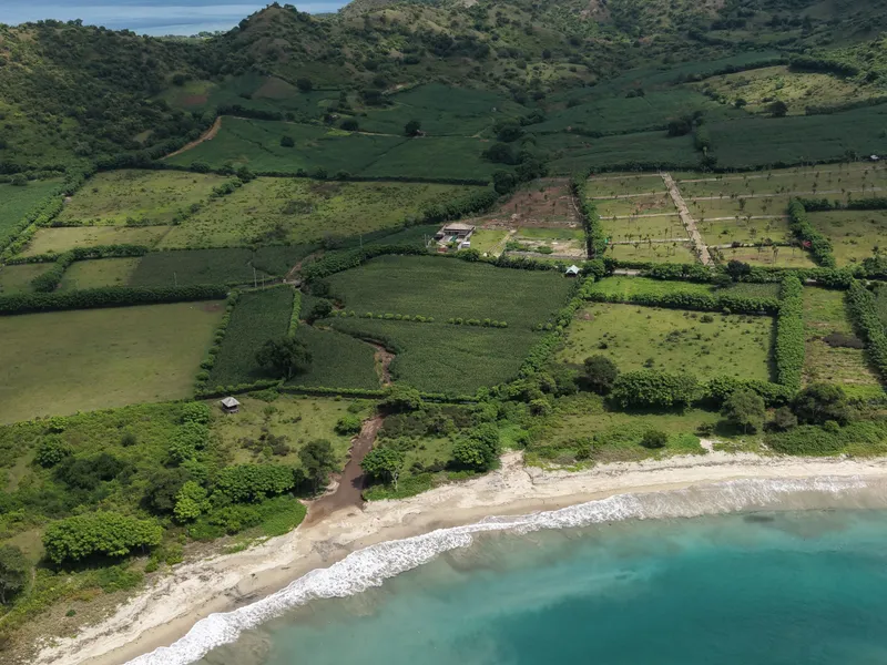 Hippy Bay - Photo 17