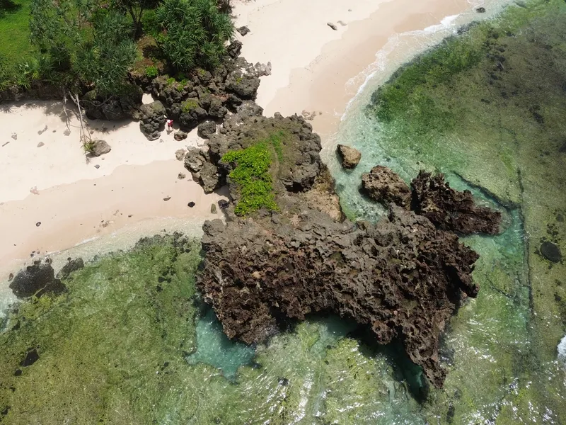 Turtle Tracks - Photo 1