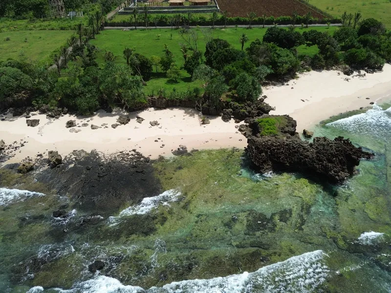 Turtle Tracks - Photo 12