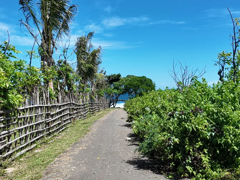 Turtle Tracks - Photo 19